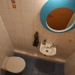 Freizeitglueck Nahe Europapark - Mein Schwarzwaldhaeusle Apartment Kappel-Grafenhausen