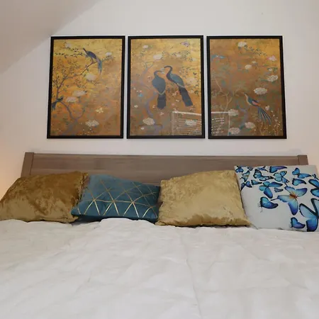 Freizeitglueck Nahe Europapark - Mein Schwarzwaldhaeusle Appartement *