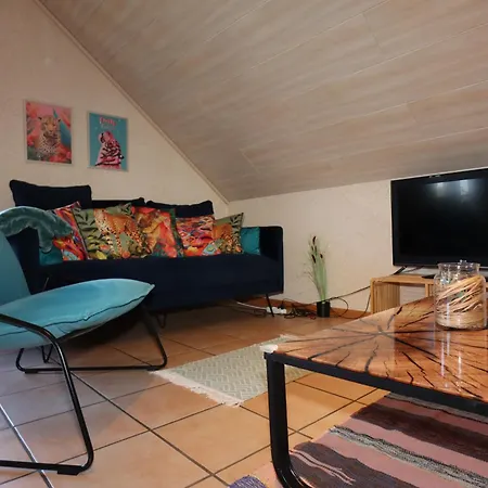 Freizeitglueck Nahe Europapark - Mein Schwarzwaldhaeusle Appartement Kappel-Grafenhausen