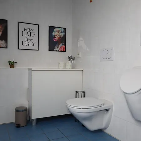 Freizeitglueck Nahe Europapark - Mein Schwarzwaldhaeusle شقة